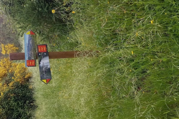 Foto 44 da atividade Galeria de Fotos