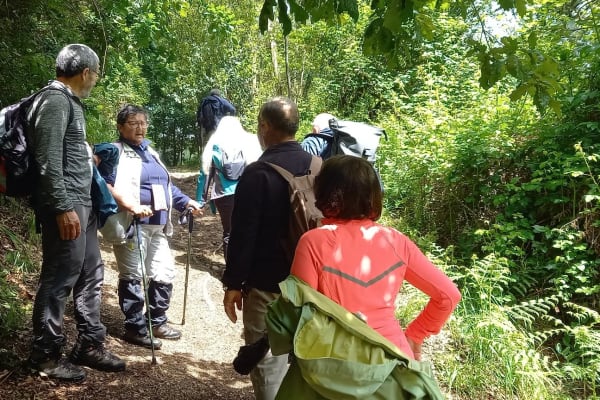 Foto 28 da atividade Galeria de Fotos