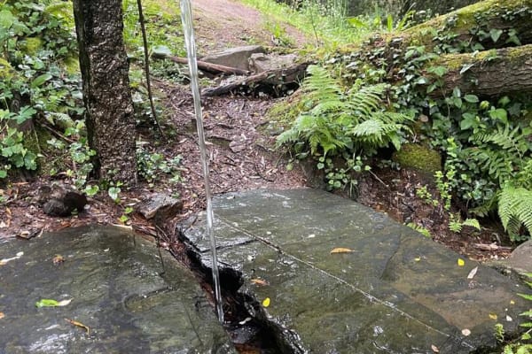 Foto 9 da atividade Galeria de Fotos