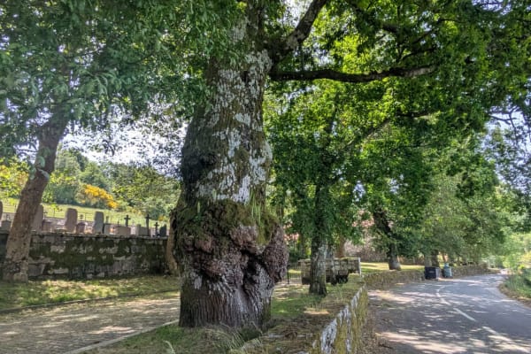 Foto 75 da atividade Galeria de Fotos