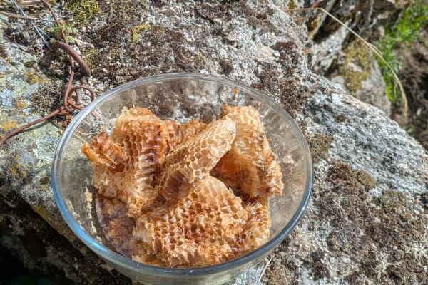 Foto 74 da atividade Galeria de Fotos