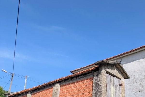 Foto 72 da atividade Galeria de Fotos