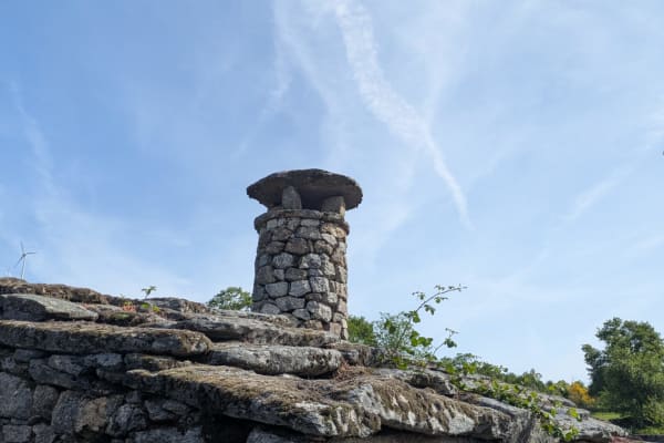 Foto 65 da atividade Galeria de Fotos