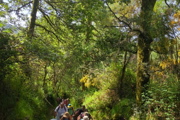 Foto 56 da atividade Galeria de Fotos