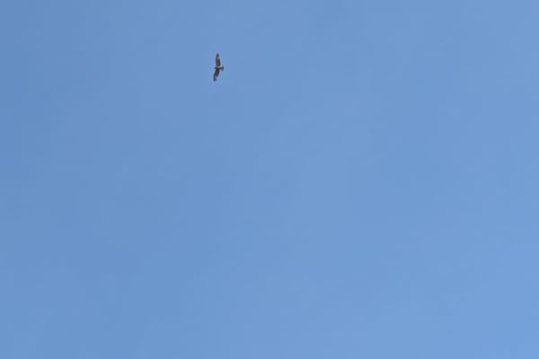 Foto 53 da atividade Galeria de Fotos