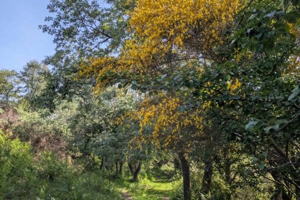 Foto 54 da atividade Galeria de Fotos