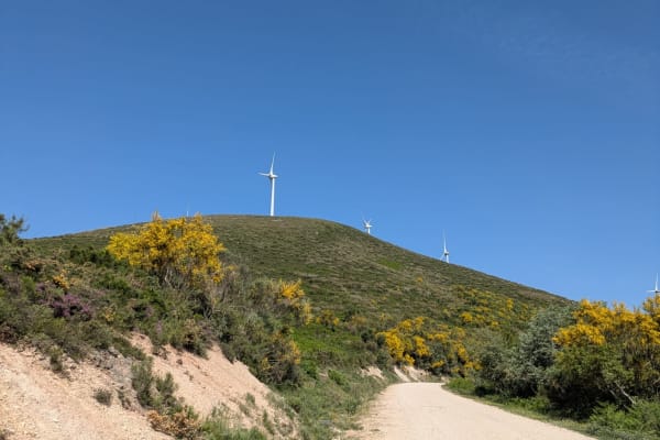 Foto 52 da atividade Galeria de Fotos