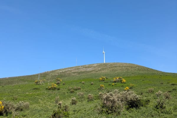 Foto 50 da atividade Galeria de Fotos