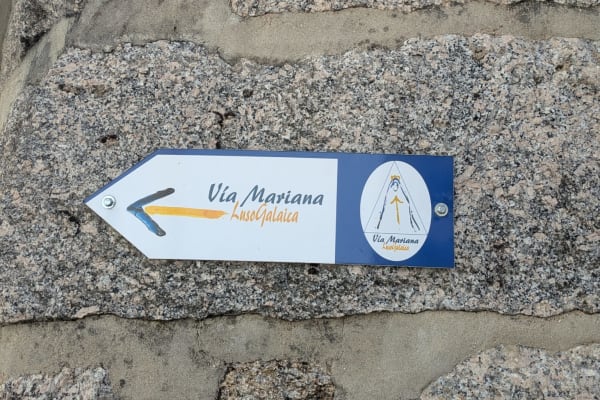 Foto 40 da atividade Galeria de Fotos