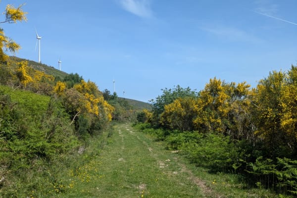 Foto 39 da atividade Galeria de Fotos