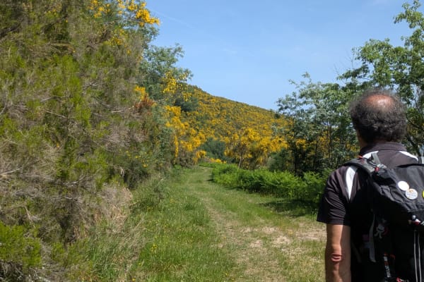 Foto 36 da atividade Galeria de Fotos