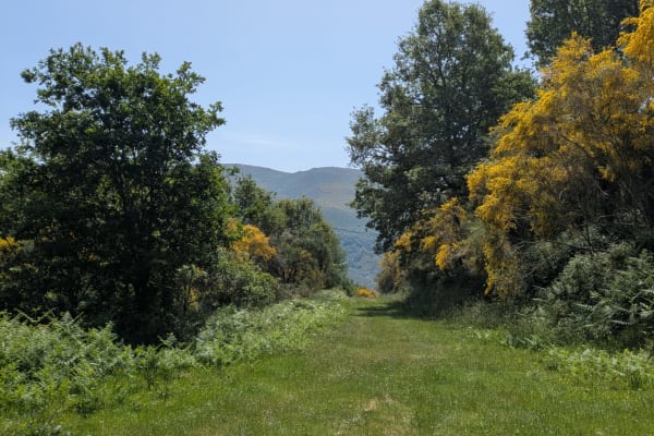 Foto 34 da atividade Galeria de Fotos