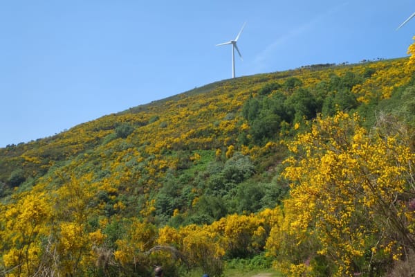 Foto 17 da atividade Galeria de Fotos