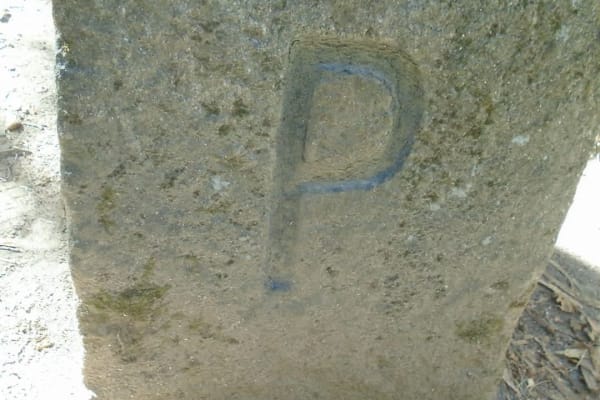 Foto 13 da atividade Galeria de Fotos