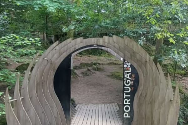 Foto 7 da atividade Galeria de Fotos