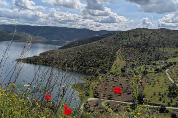 Foto 2 da atividade Galeria de Fotos