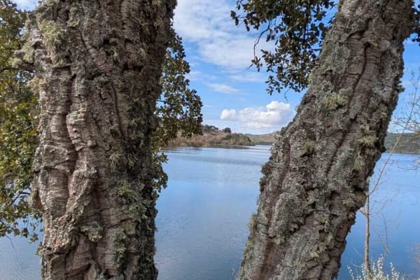 Foto 64 da atividade Galeria de Fotos