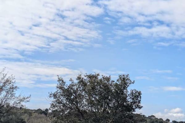 Foto 60 da atividade Galeria de Fotos