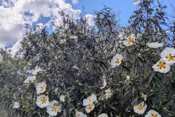 Foto 56 da atividade Galeria de Fotos