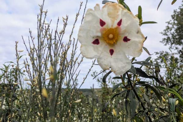 Foto 55 da atividade Galeria de Fotos