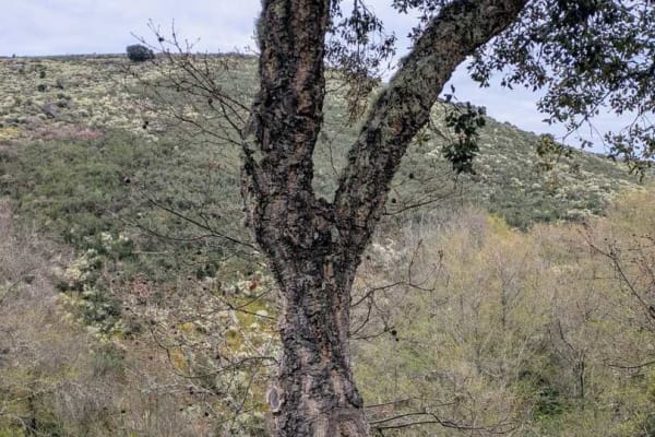 Foto 51 da atividade Galeria de Fotos