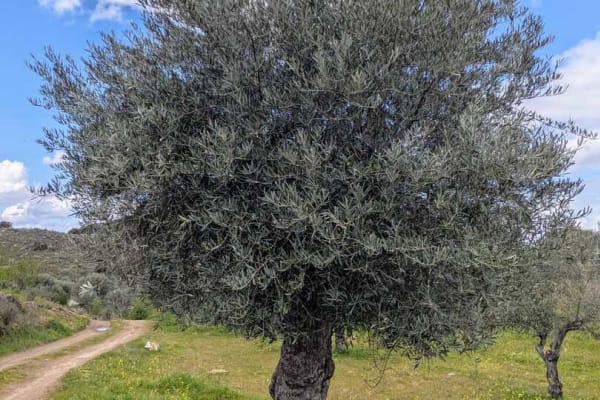 Foto 47 da atividade Galeria de Fotos