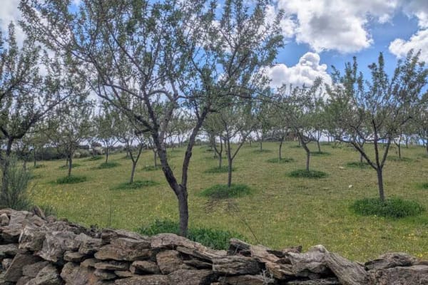 Foto 45 da atividade Galeria de Fotos