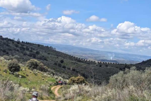 Foto 40 da atividade Galeria de Fotos