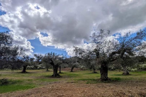 Foto 41 da atividade Galeria de Fotos