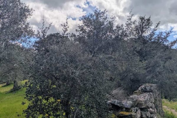 Foto 34 da atividade Galeria de Fotos