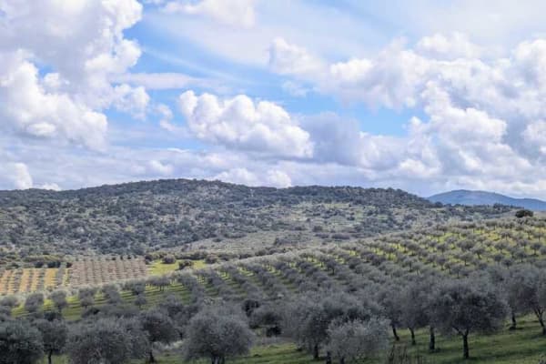 Foto 31 da atividade Galeria de Fotos