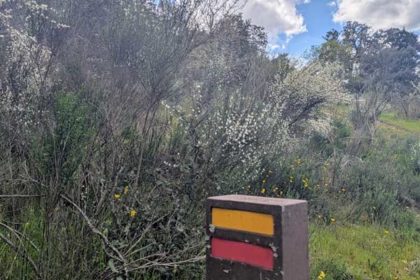 Foto 28 da atividade Galeria de Fotos