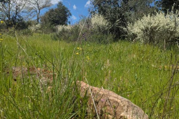 Foto 25 da atividade Galeria de Fotos