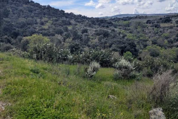 Foto 22 da atividade Galeria de Fotos