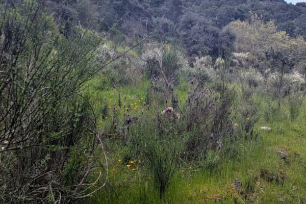 Foto 23 da atividade Galeria de Fotos