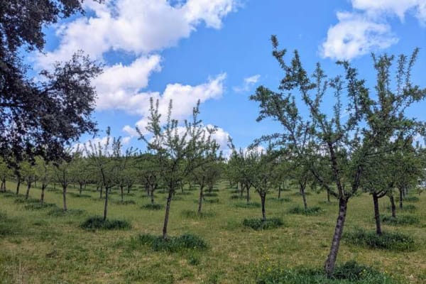 Foto 21 da atividade Galeria de Fotos