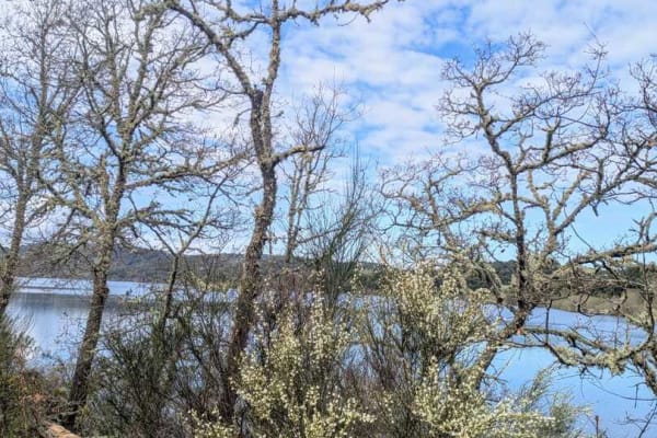 Foto 19 da atividade Galeria de Fotos