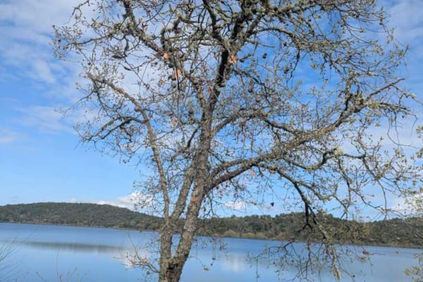 Foto 6 da atividade Galeria de Fotos