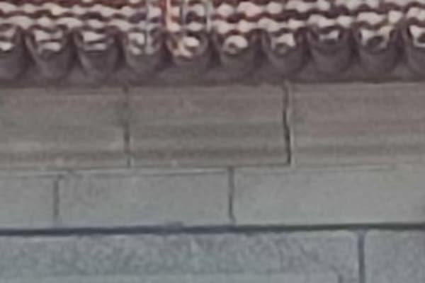 Foto 94 da atividade Galeria de Fotos