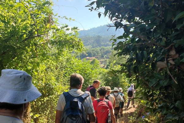 Foto 87 da atividade Galeria de Fotos