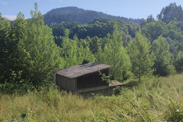 Foto 84 da atividade Galeria de Fotos