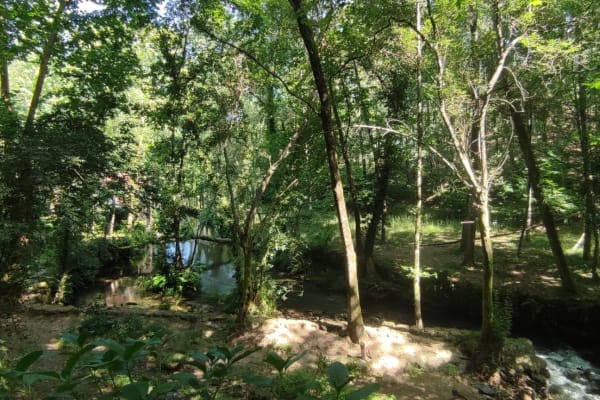 Foto 75 da atividade Galeria de Fotos