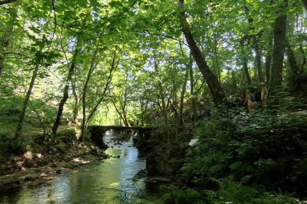 Foto 72 da atividade Galeria de Fotos