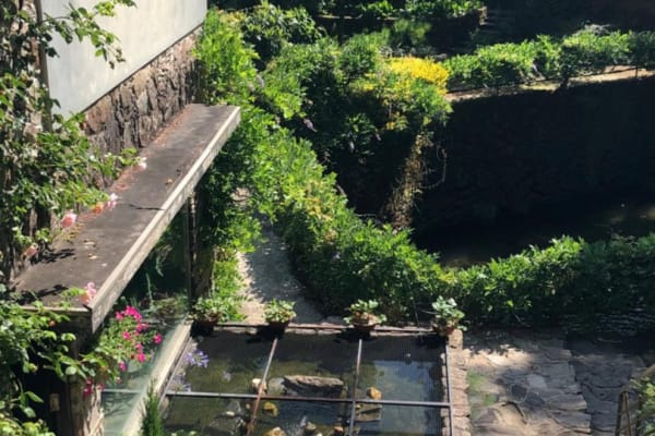 Foto 43 da atividade Galeria de Fotos