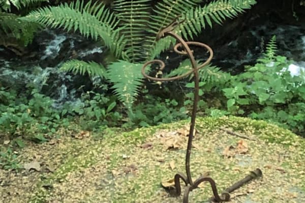 Foto 40 da atividade Galeria de Fotos