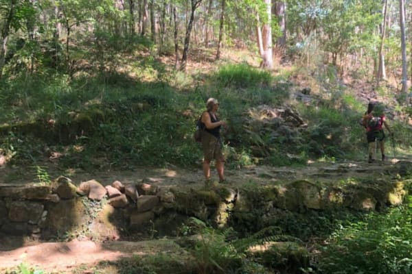 Foto 34 da atividade Galeria de Fotos