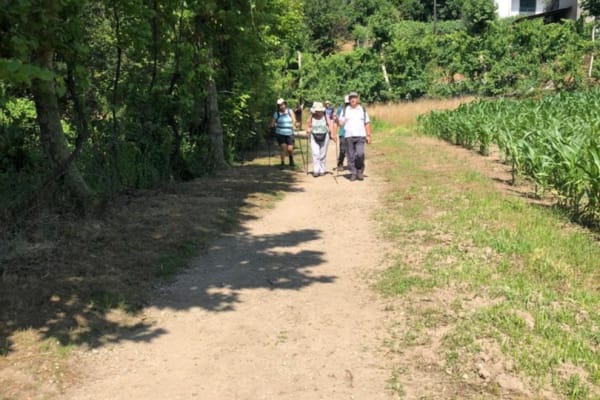 Foto 31 da atividade Galeria de Fotos