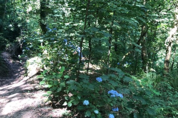 Foto 26 da atividade Galeria de Fotos