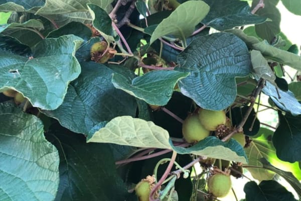 Foto 14 da atividade Galeria de Fotos