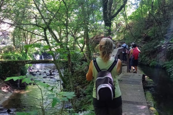 Foto 7 da atividade Galeria de Fotos